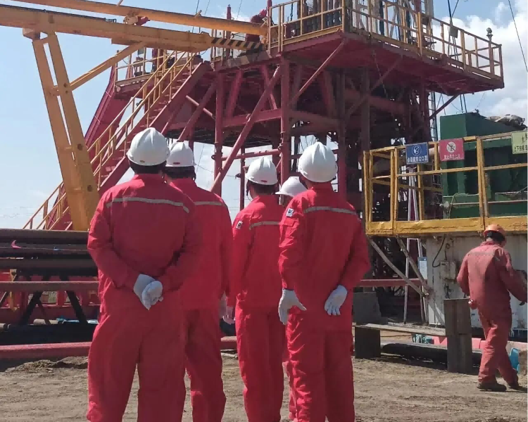 integrated drilling engineering team